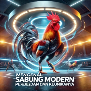 Mengenal Sabung Ayam Modern: Perbedaan dan Keunikannya